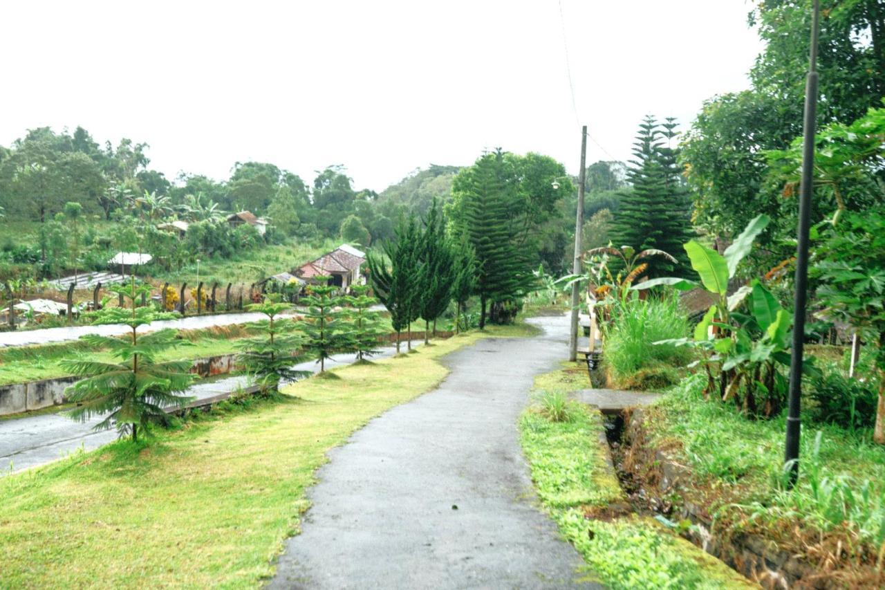 Tunjung Sari Villa Bedugul Bedugul  Exteriör bild