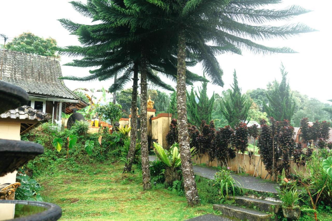 Tunjung Sari Villa Bedugul Bedugul  Exteriör bild